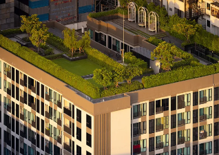 Roofing services and environmental protection: the future of green roofs